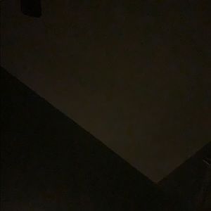 Meet your Posher, Molly